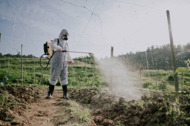 Best Mosquito Control Services  in Mickleton, NJ