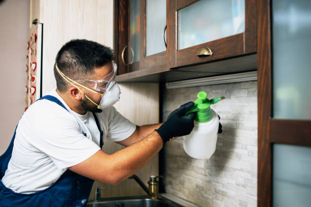 Wildlife Control Services in Mickleton, NJ