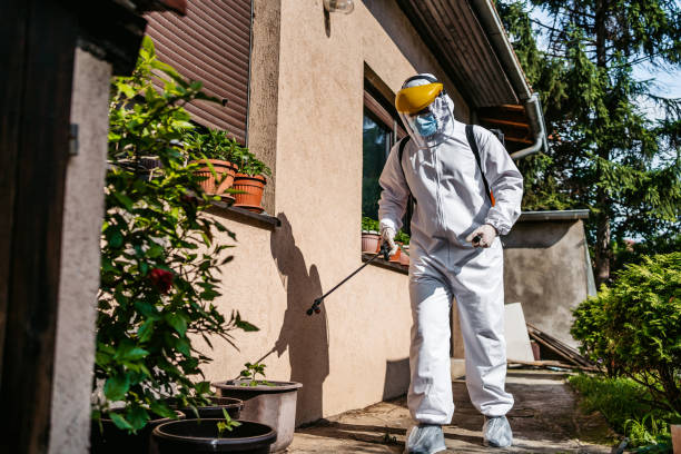 Best Best Pest Control Companies  in Mickleton, NJ