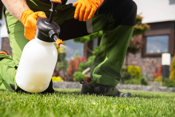 Best Wildlife Control Services  in Mickleton, NJ